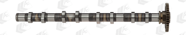 Camshaft (WG1497633)