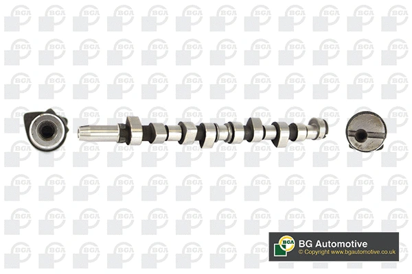 Camshaft (WG1490396)