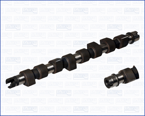 Camshaft (WG1171383)