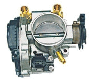 Throttle Body (WG1013483)