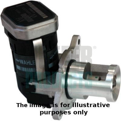EGR Valve (WG2263023)