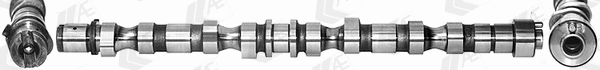 Camshaft (WG1462602)