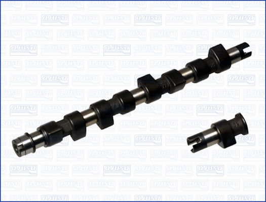 Camshaft (WG1171402)