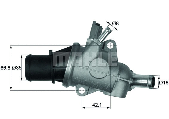 Thermostat, coolant (WG1426486)