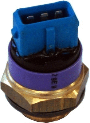 Temperature Switch, radiator fan (WG1748966)
