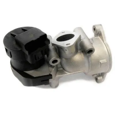 EGR Valve (WG1408743)