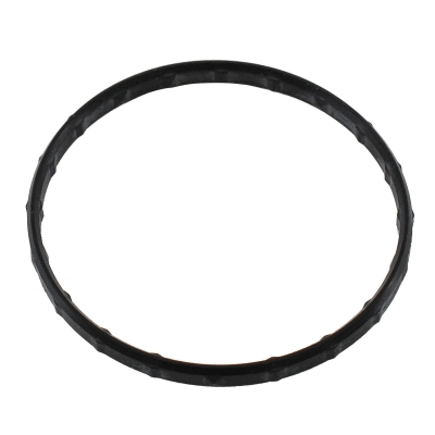 Seal, thermostat (WG2196074)