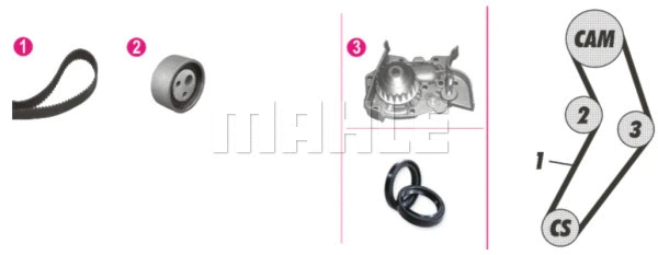 Water Pump & Timing Belt Kit (WG2182182)