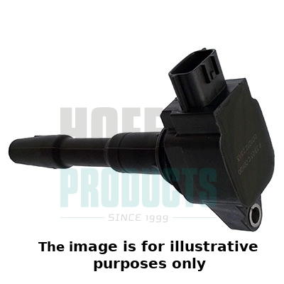 Ignition Coil (WG1903866)