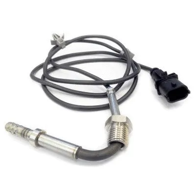 Sensor, exhaust gas temperature (WG1407235)