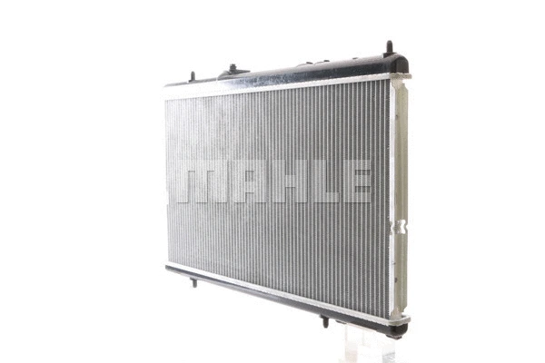 Radiator, engine cooling (WG2184010)