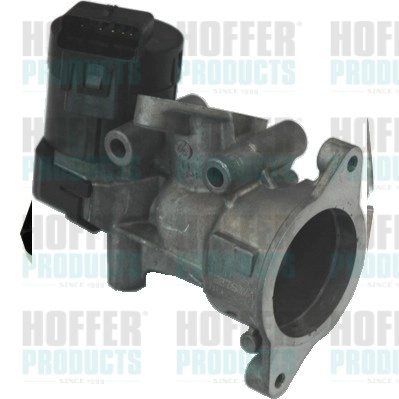 EGR Valve (WG1408693)