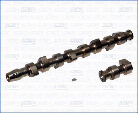 Camshaft (WG1170809)