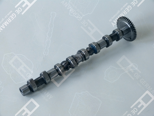 Camshaft (WG1484843)