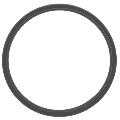 Shaft Seal, differential