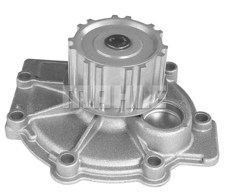 Water Pump, engine cooling (WG2181506)
