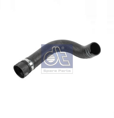 Radiator Hose (WG2318946)
