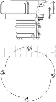 Cap, coolant tank (WG2184228)
