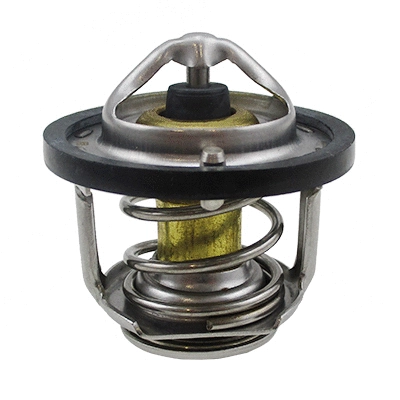 Thermostat, coolant (WG1409207)