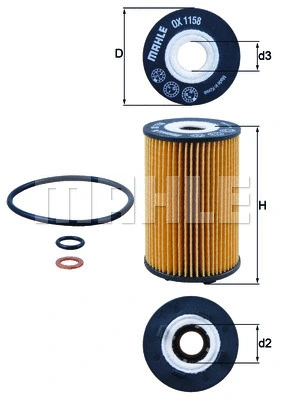 Oil Filter (WG1916661)