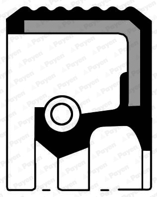 Shaft Seal, differential (WG1090831)