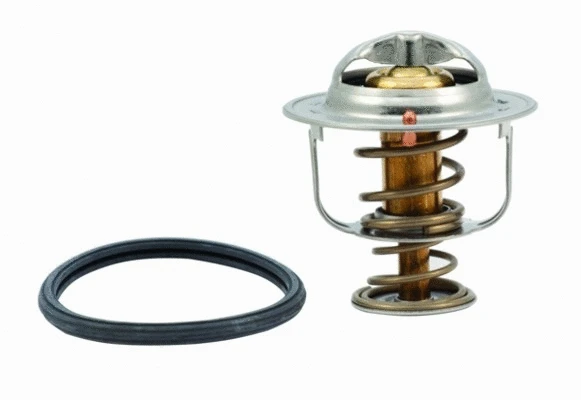 Thermostat, coolant (WG1409255)