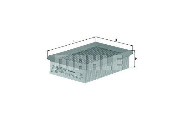 Air Filter (WG1216598)