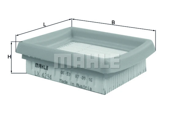 Air Filter (WG1724331)