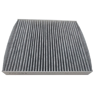 Filter, cabin air (WG1903571)