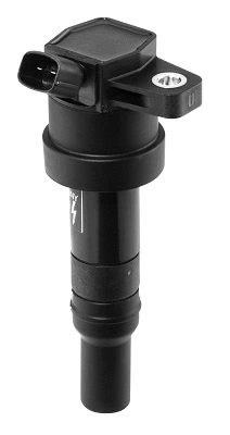 Ignition Coil (WG1487494)