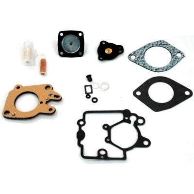 Repair Kit, carburettor (WG1966018)