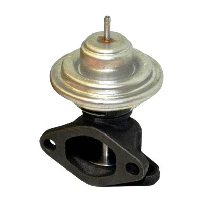 EGR Valve (WG1015336)