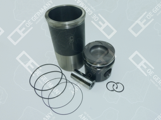 Repair Set, piston/sleeve (WG1485161)