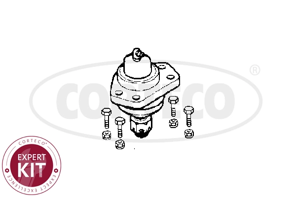 Ball Joint (WG2288244)