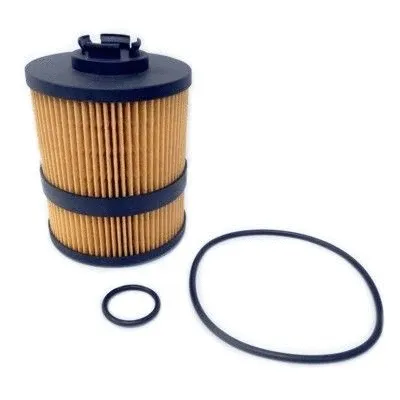 Oil Filter (WG1484198)