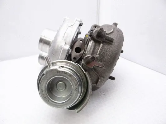 Charger, charging (supercharged/turbocharged) (WG1318301)