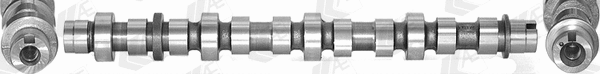 Camshaft (WG1462580)