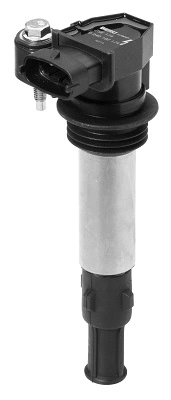 Ignition Coil (WG1756498)