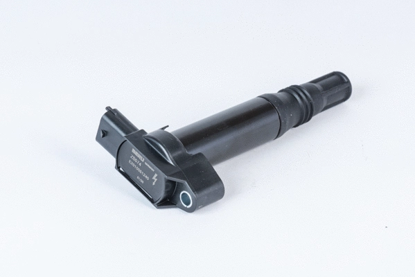 Ignition Coil (WG2112942)