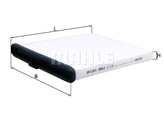 Filter, cabin air (WG2325991)