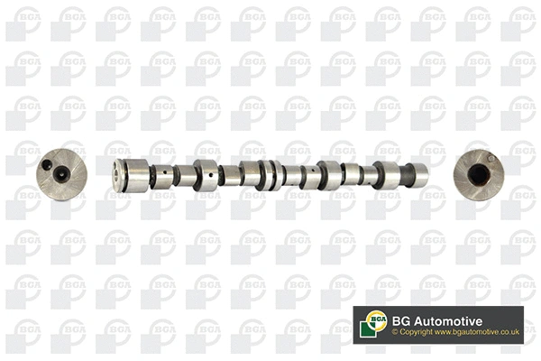 Camshaft (WG1490581)