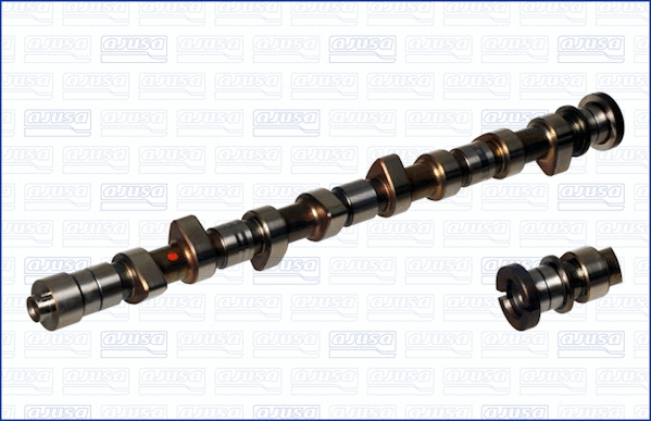 Camshaft (WG1456691)