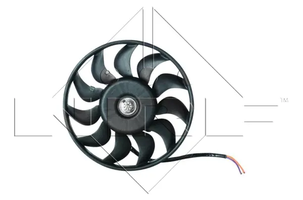 Fan, engine cooling (WG1720382)