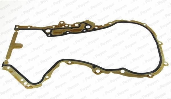 Gasket, timing case (WG1145990)
