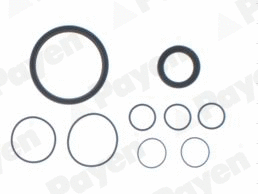 Gasket Kit, crankcase (WG1180031)