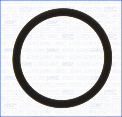 Seal, oil pump cover (WG1451904)