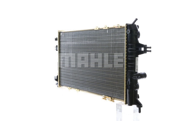 Radiator, engine cooling (WG2183466)