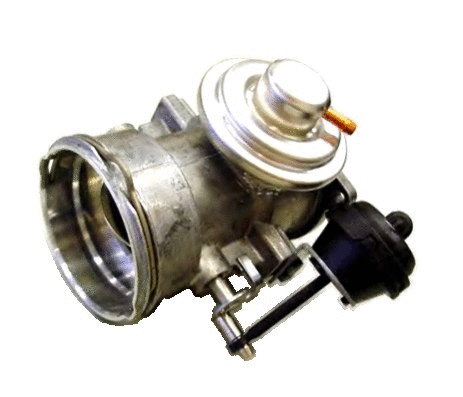 EGR Valve (WG1408690)