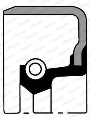 Shaft Seal, crankshaft (WG1183389)
