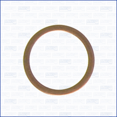 Seal Ring, oil drain plug (WG1451988)